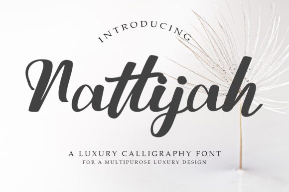 Nattijah: Elevating Design with Elegant Brushed Script Typography
